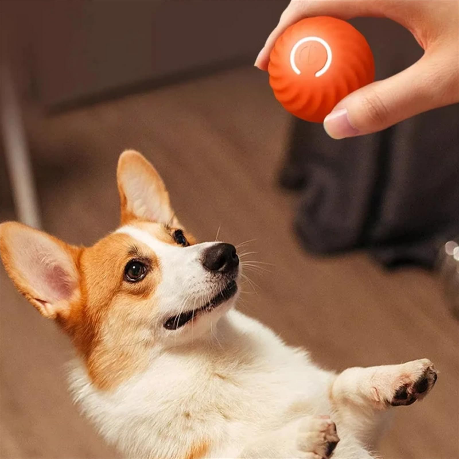PetDropper ™ Bouncing Ball Interattiva