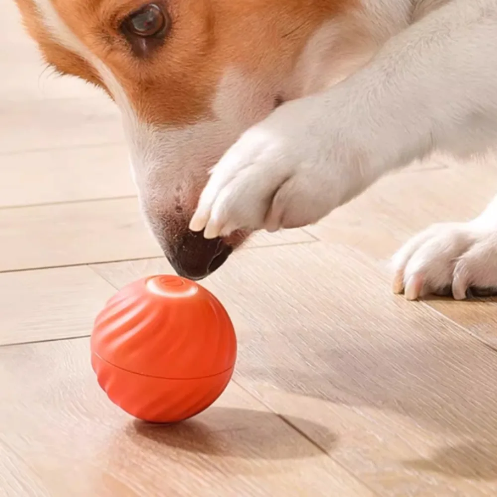 PetDropper ™ Bouncing Ball Interattiva